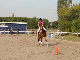 img_7462_web